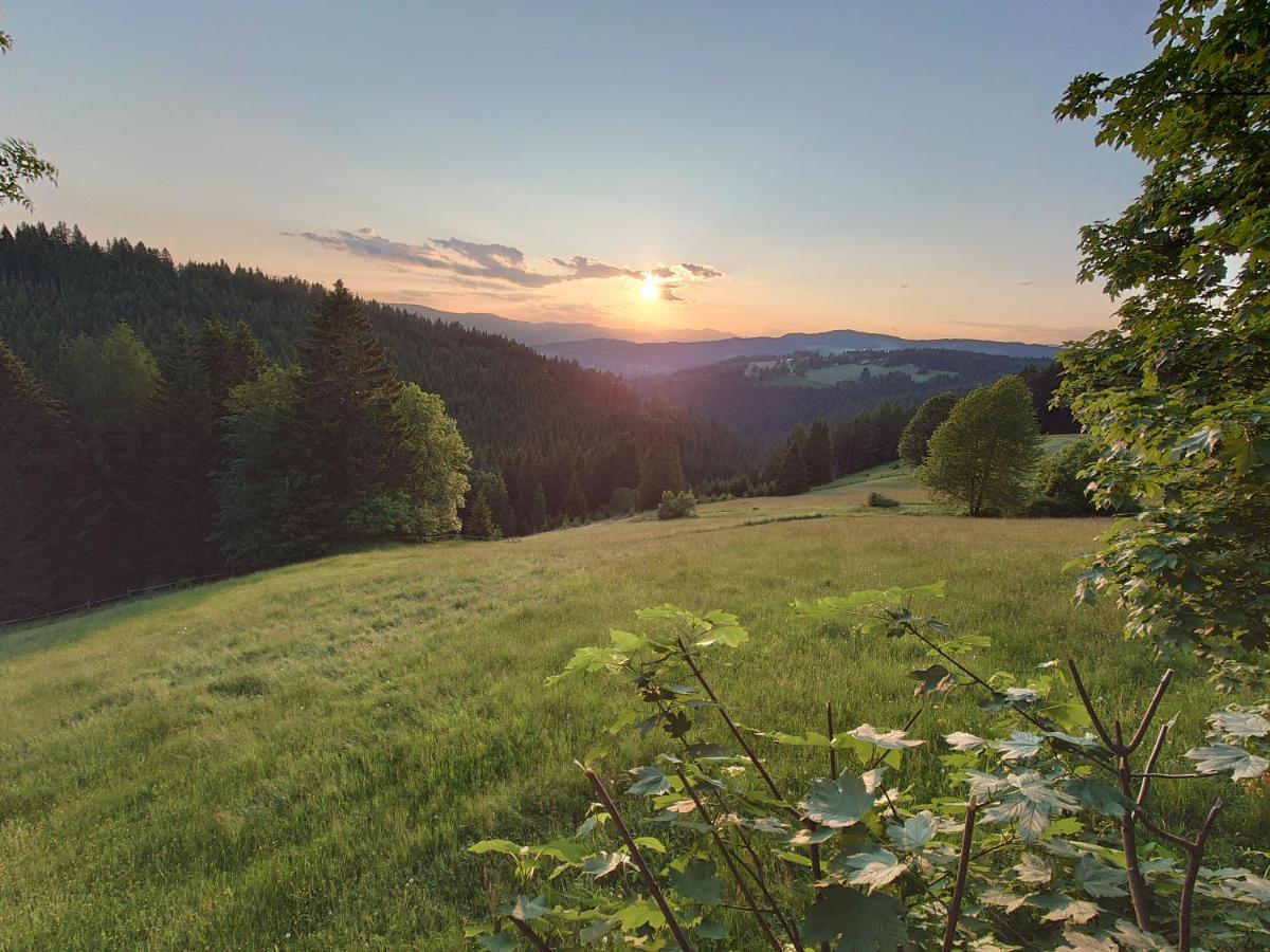 Forsthaus Pracken Villa Wolfsberg Dış mekan fotoğraf